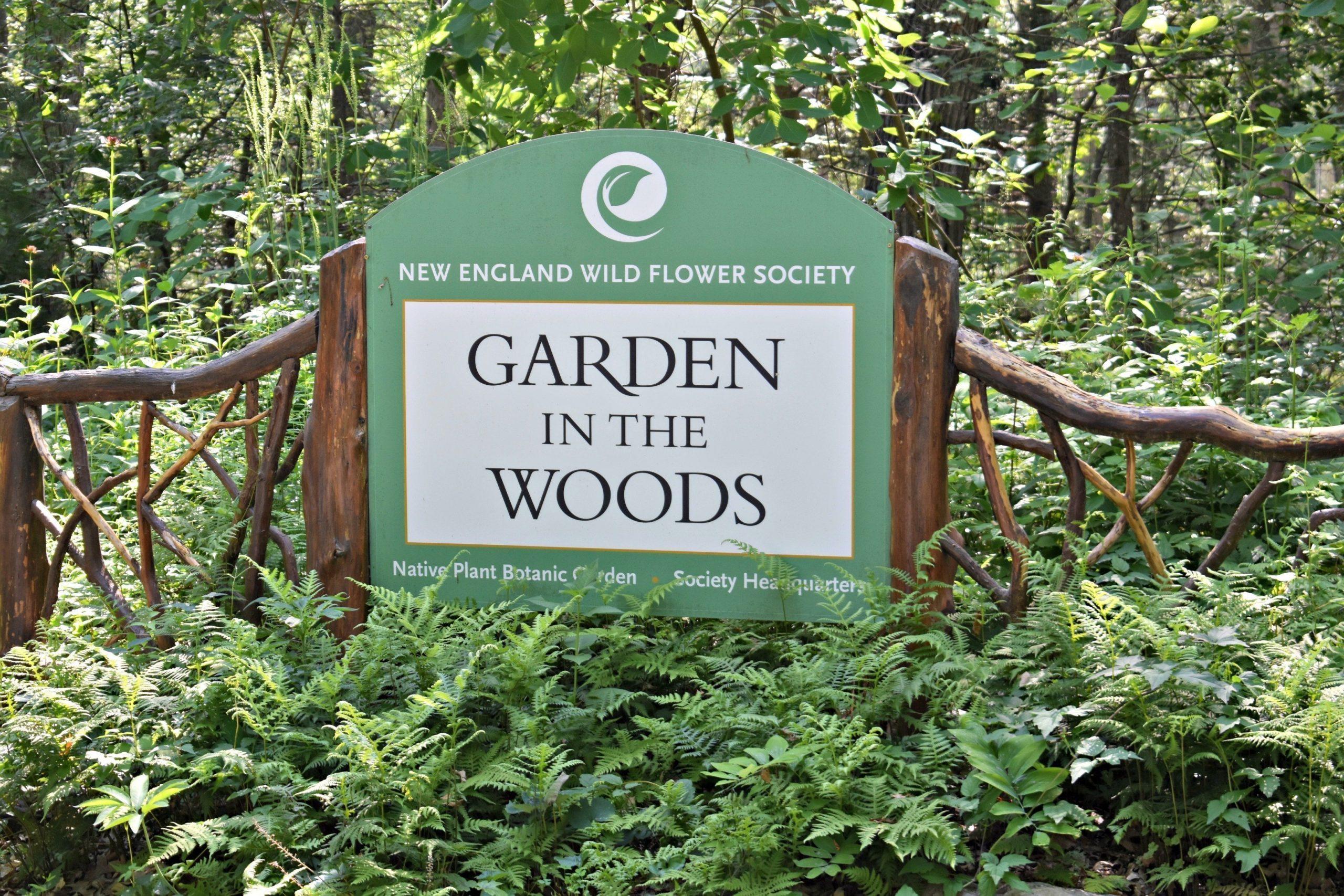 garden in the woods