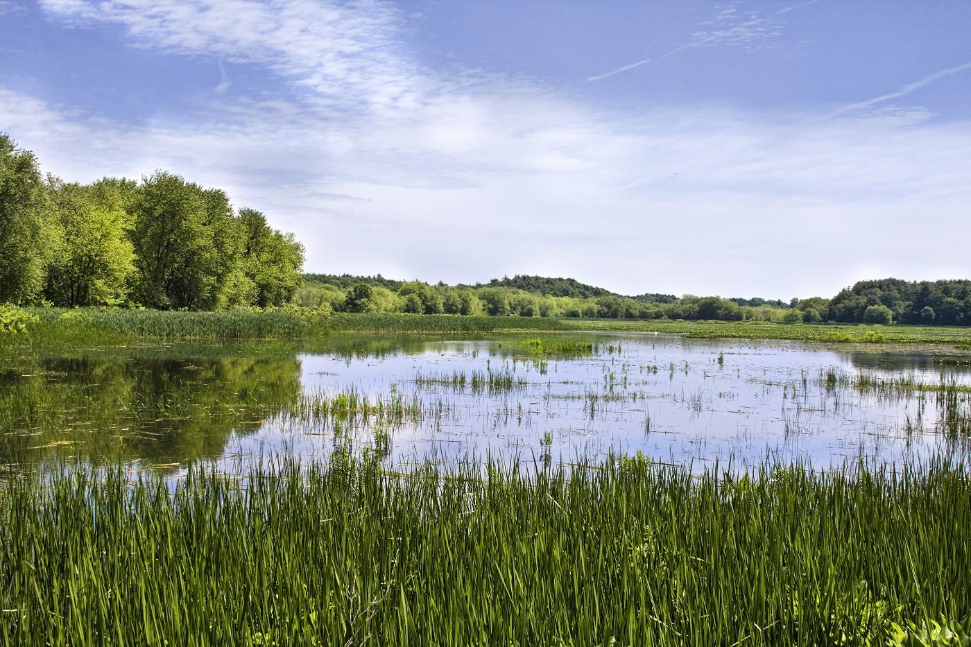 great meadows