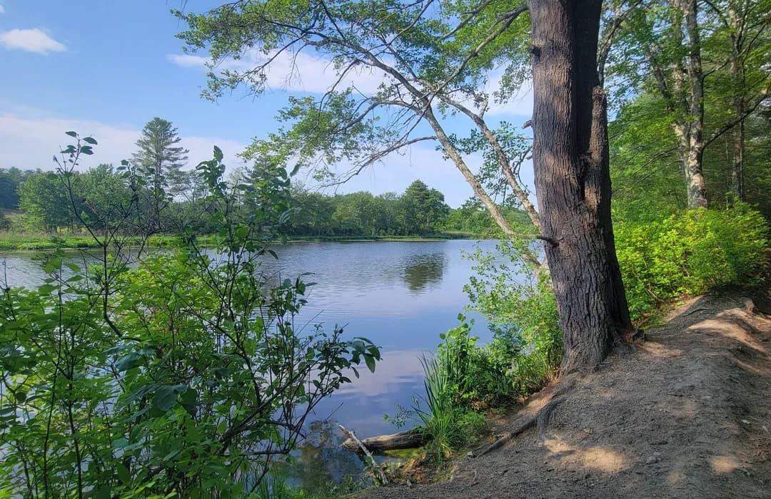 river rail trail
