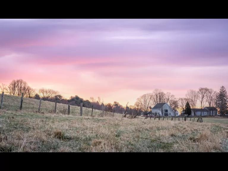 beals preserve