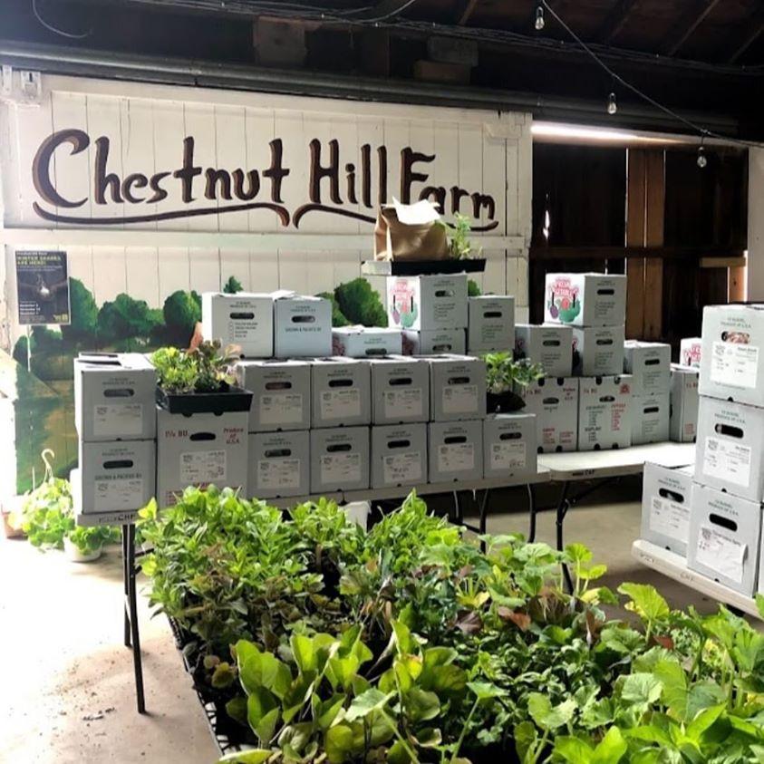 chestnut hill farm