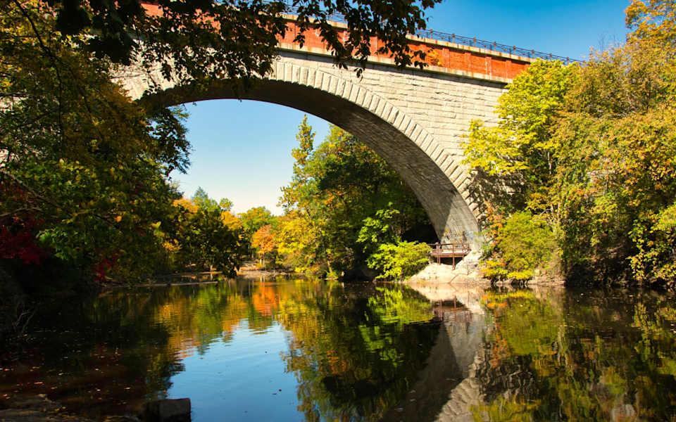 echo bridge
