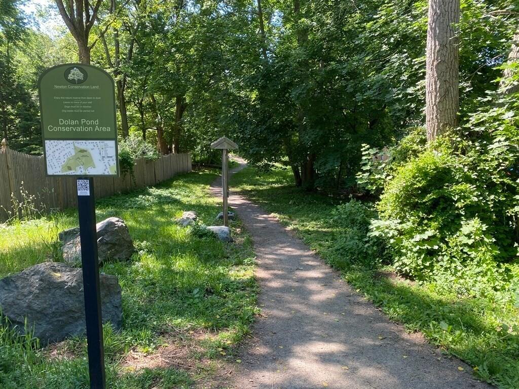 hammond pond