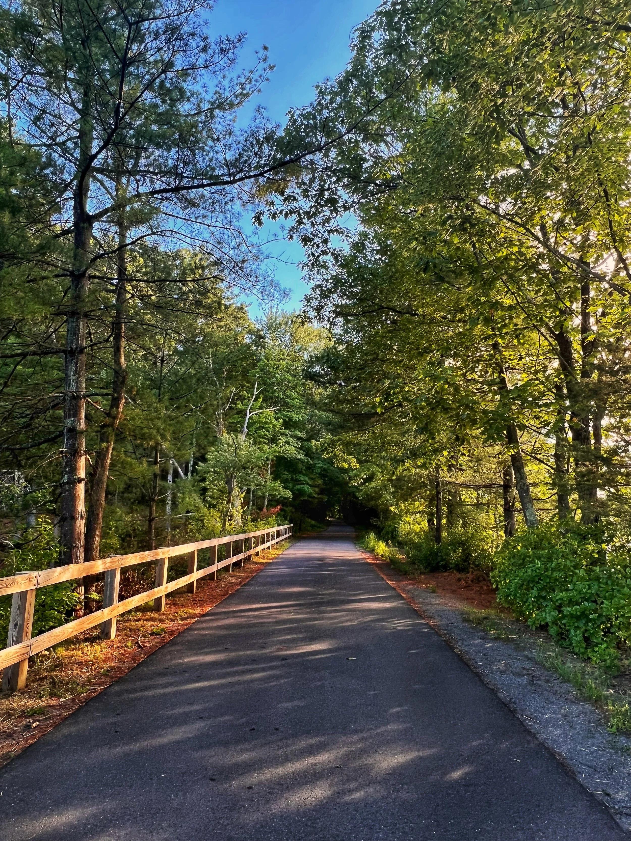 river rail trail